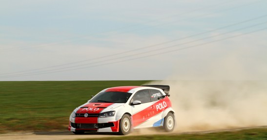 Testy Polo Proto